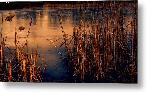 Ice Metal Print featuring the photograph Sun and Ice by Gerald Salamone