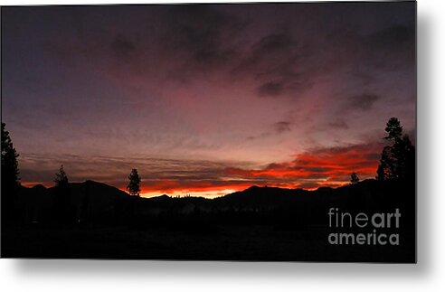 Landscape Metal Print featuring the photograph Sunrise Silhouettes by Julia Hassett