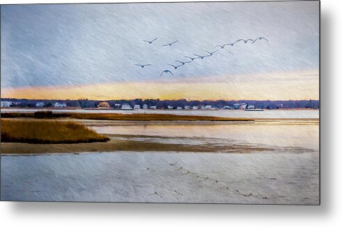 Geese Metal Print featuring the photograph The Flock by Cathy Kovarik