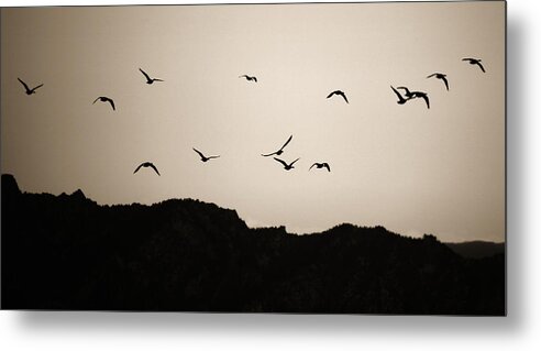 Twilight Metal Print featuring the photograph Twilight Geese by Marilyn Hunt