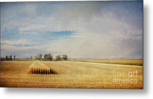 Farm Metal Print featuring the photograph Twilight Harvest by Diane Enright