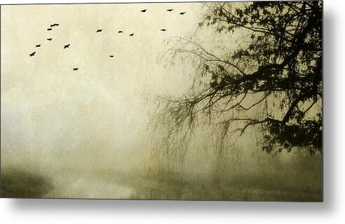 Tree Metal Print featuring the photograph Unspoken by Karen Lynch