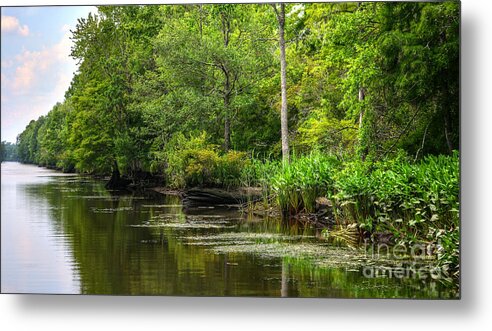 Scenic Metal Print featuring the photograph Waterway To Sandy Island by Kathy Baccari