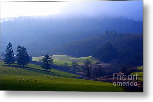 Pacific Metal Print featuring the photograph When Dawn Breaks by Nick Boren