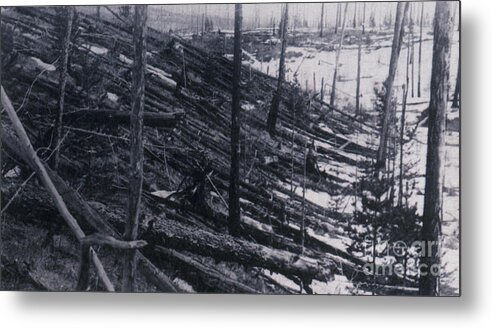 1908 Metal Print featuring the photograph Tunguska Event, 1908 #1 by Science Source