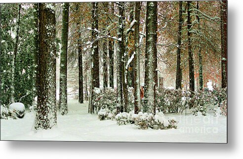 Snow Metal Print featuring the photograph Another Snowy Day by Ola Allen