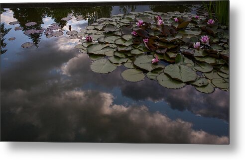 Pond Metal Print featuring the photograph Clouded Pond by Mike Reid