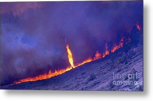 Phenomena Metal Print featuring the photograph Jackson Canyon Fire, 2006 by Science Source