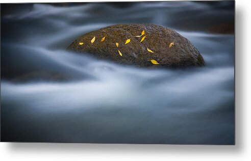Autumn Metal Print featuring the photograph Landed on the Rock by Joye Ardyn Durham