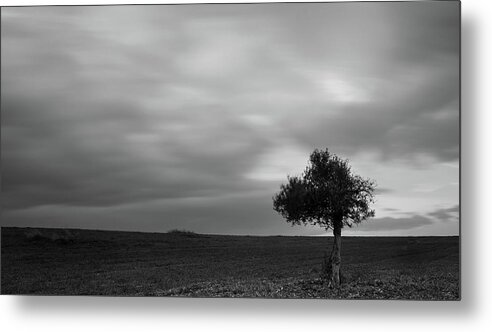 Olive Tree Metal Print featuring the photograph Lonely Olive tree in a green field and moving clouds #1 by Michalakis Ppalis
