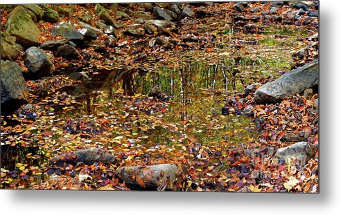 Fall Metal Print featuring the photograph Reflections Of Fall #2 by Paul Mashburn