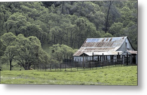  Metal Print featuring the photograph Barn in the Meadow by Wendy Carrington