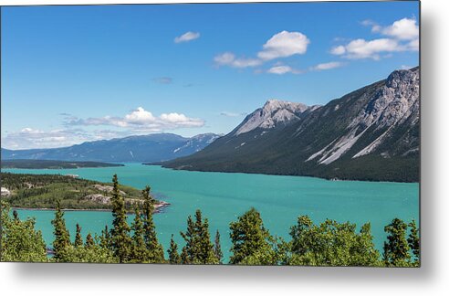Canada Metal Print featuring the photograph Tagish Lake by Ed Clark