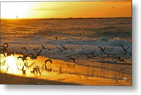 Sea Birds Metal Print featuring the photograph Birds At Sunrise by Phil Mancuso