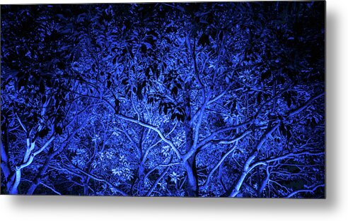 Cairns Metal Print featuring the photograph Blue trees by Jocelyn Kahawai