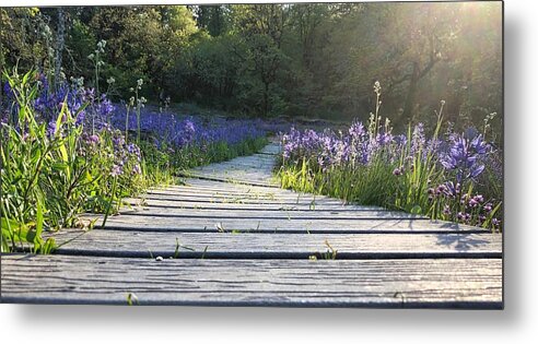 Spring Metal Print featuring the photograph Boardwalk Through The Flowers by Brian Eberly