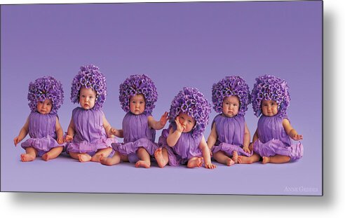 Purple Metal Print featuring the photograph Cantebury Bells by Anne Geddes