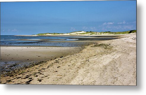 Cape Henlopen State Park Metal Print featuring the photograph Cape Henlopen State Park - Delaware by Brendan Reals