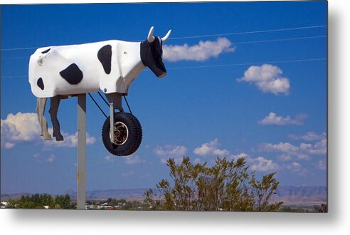 Cow Metal Print featuring the photograph Cow Power by Skip Hunt