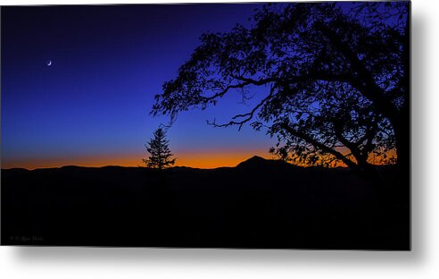 Crescent Moon Metal Print featuring the photograph Crescent Night by C Renee Martin