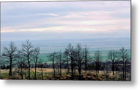 Black Hills Metal Print featuring the photograph Dark Forest by Donald J Gray