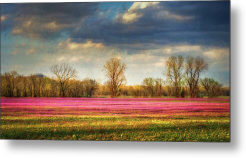 Trifolium Pratense Metal Print featuring the photograph Fields of Clover by James Barber