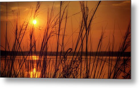 Sunset Metal Print featuring the photograph Golden Sunset at the Lake by John Williams