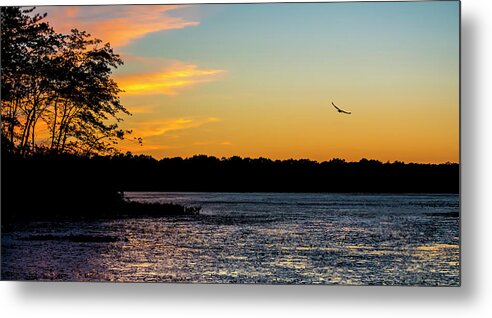 Sunset Metal Print featuring the photograph Heading Home by Cathy Kovarik