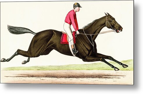 David Letts Metal Print featuring the photograph Horse Race by David Letts