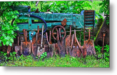 Diane Berry Metal Print featuring the photograph If you rest you rust by Diane E Berry
