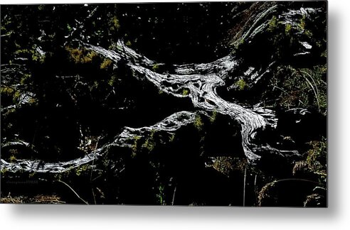 Wood Metal Print featuring the digital art Illuminated by Vincent Green