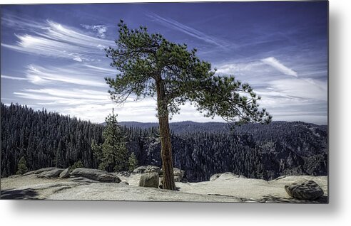 Yosemite Metal Print featuring the photograph Lonesome Tree by Chris Cousins