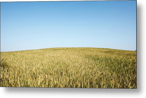 Nature Landscape Metal Print featuring the photograph Nature landscape background by Michalakis Ppalis