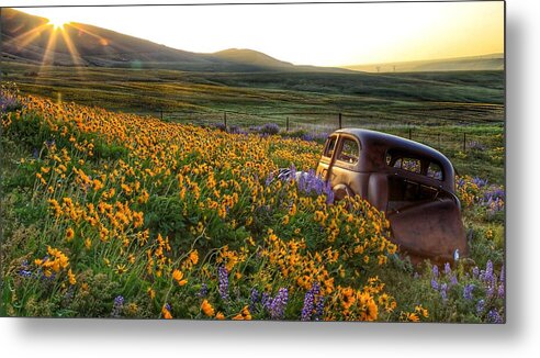 Morning Light On The Old Rusty Car Metal Print featuring the photograph Morning light on the old rusty car by Lynn Hopwood