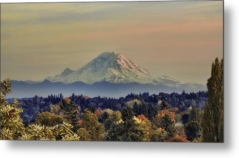 Panoramic Metal Print featuring the photograph Mt Rainer Fall Color Rising by James Heckt