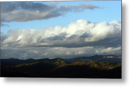 California Metal Print featuring the photograph NorCal Wilds by Holly Ethan