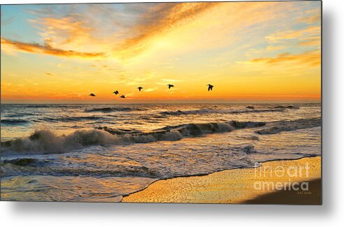 Pelicans Metal Print featuring the photograph Pelicans at Sunrise signed 4651b 2 by Jack Schultz