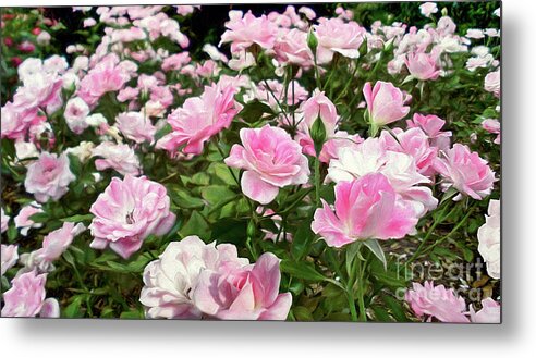 Pink Iceberg Roses Metal Print featuring the photograph Pink Iceberg Roses by Kaye Menner