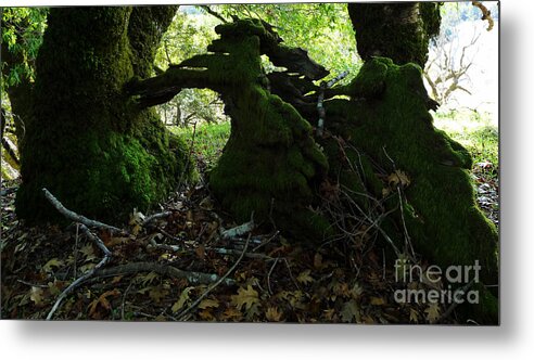 Trees Metal Print featuring the photograph Sculpture in Process by JoAnn SkyWatcher