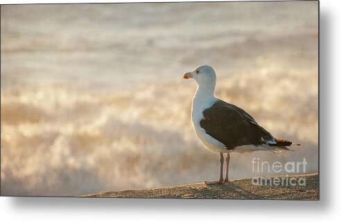 Beach Metal Print featuring the photograph Seagull at Sunrise by Michael James