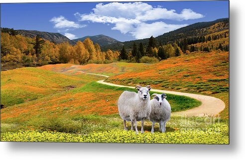Sheep Metal Print featuring the photograph Sheep and Road Ver 3 by Larry Mulvehill