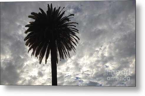Silhouette Metal Print featuring the photograph Silhouette Solo Palm by Nora Boghossian