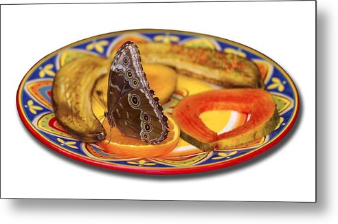 Butterfly Metal Print featuring the photograph Snacking Butterfly by Bob Slitzan