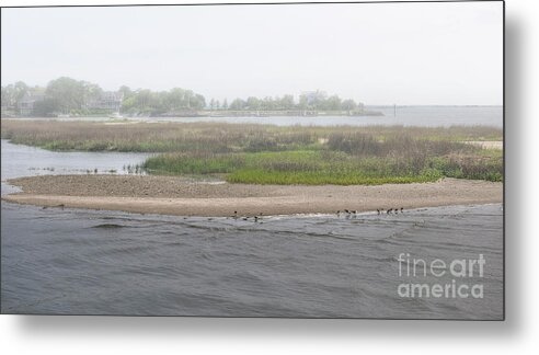 Fog Metal Print featuring the photograph Sullivan's Island Sleepy Southern Town by Dale Powell