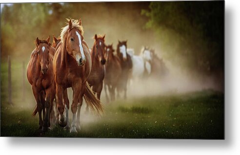 Horse Metal Print featuring the photograph The boys by Ryan Courson