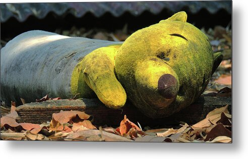 Leaves Metal Print featuring the photograph The lonely teddy bear by Jeremy Holton