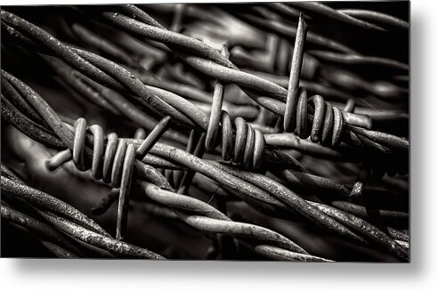 Barbed Wire Metal Print featuring the photograph Three Barbs In Black and White by Greg and Chrystal Mimbs