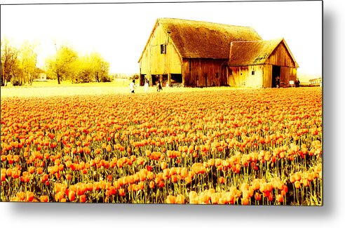 Tulip Metal Print featuring the photograph Tulip barn by Paul Adcock