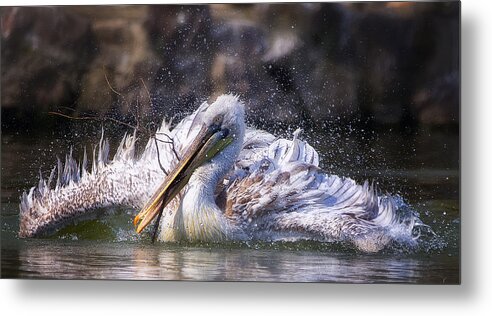 Twig Metal Print featuring the photograph Twig by C.s.tjandra