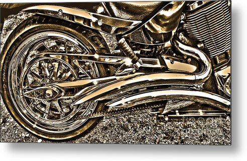 Diane Berry Metal Print featuring the photograph Varoom by Diane E Berry